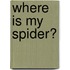 Where Is My Spider?