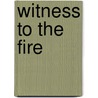 Witness to the Fire by Linda Schierse Leonard