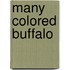 Many Colored Buffalo