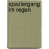 Spaziergang im Regen