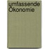 Umfassende Ökonomie