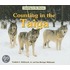 Counting in the Taiga