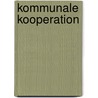 Kommunale Kooperation door Thorsten Ingo Schmidt