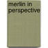 Merlin In Perspective