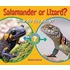 Salamander or Lizard?