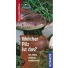 Welcher Pilz ist das? door Markus Flück