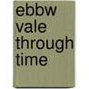 Ebbw Vale Through Time door Alan Davies-Tudgay