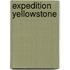 Expedition Yellowstone