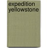 Expedition Yellowstone door Sandra Chrisholm Robinson