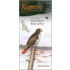 Raptors in Your Pocket