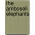 The Amboseli Elephants