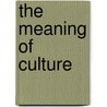 The Meaning of Culture by Kenneth Allan