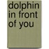 Dolphin In Front Of You