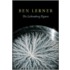 The Lichtenberg Figures