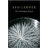 The Lichtenberg Figures door Dr Ben Lerner