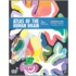 Atlas Of The Human Brain