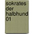 Sokrates der Halbhund 01