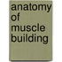 Anatomy of Muscle Building