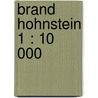Brand Hohnstein 1 : 10 000 door Rolf Böhms