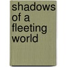 Shadows Of A Fleeting World by Nicolette Bromberg