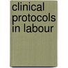 Clinical Protocols In Labour door Phillipa A. Groves