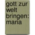 Gott zur Welt bringen: Maria