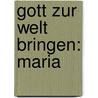 Gott zur Welt bringen: Maria door Christiane Eilrich