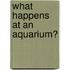 What Happens at an Aquarium?