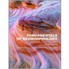 Fundamentals of Geomorphology door Richard John Huggett