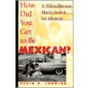 How Did You Get to Be Mexican by Kevin R. Johnson