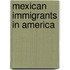 Mexican Immigrants in America