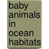 Baby Animals In Ocean Habitats