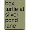 Box Turtle at Silver Pond Lane by Susan Korman