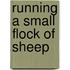 Running A Small Flock Of Sheep