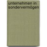 Unternehmen in Sondervermögen by Barbara Dauner-Lieb