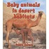 Baby Animals In Desert Habitats