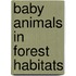 Baby Animals In Forest Habitats