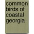 Common Birds Of Coastal Georgia
