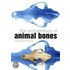 The Archaeology Of Animal Bones