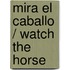 Mira el caballo / Watch the Horse