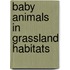 Baby Animals In Grassland Habitats