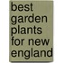Best Garden Plants for New England