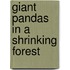 Giant Pandas in a Shrinking Forest