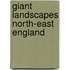Giant Landscapes North-East England