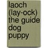 Laoch (Lay-Ock) the Guide Dog Puppy