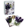 Country Blue Posies Tinned Notecards by Cico Books