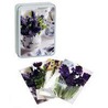 Country Blue Posies Tinned Notecards door Cico Books