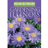 Month by Month Gardening in Illinois