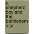 A Shepherd Boy and the Bethlehem Star