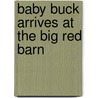 Baby Buck Arrives at the Big Red Barn door Ramona Webb Holbrook